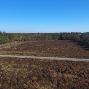 Photo #3 of SOLD property in Off John L Road, Maxton, NC 12.4 acres