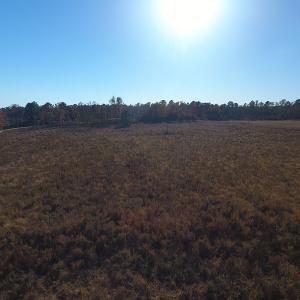 Photo #4 of SOLD property in Off John L Road, Maxton, NC 12.4 acres