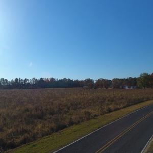 Photo #6 of SOLD property in Off John L Road, Maxton, NC 12.4 acres