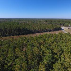 Photo #2 of SOLD property in Off Hwy 17, Bolivia, NC 46.8 acres