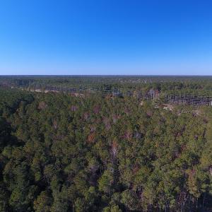 Photo #4 of SOLD property in Off Hwy 17, Bolivia, NC 46.8 acres