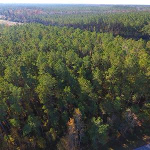 Photo #8 of SOLD property in Off Hwy 17, Bolivia, NC 46.8 acres