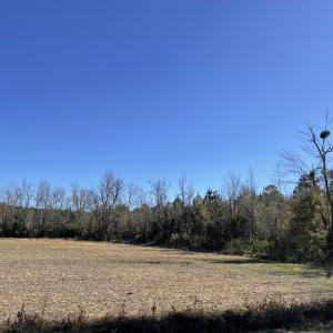 Photo #3 of SOLD property in Off Fair Bluff Highway, Green Sea, SC 43.0 acres