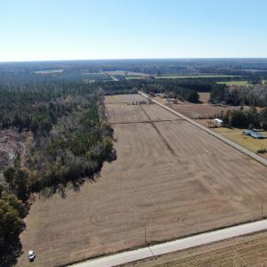 Photo #4 of SOLD property in Off Fair Bluff Highway, Green Sea, SC 43.0 acres