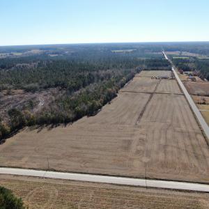 Photo #5 of SOLD property in Off Fair Bluff Highway, Green Sea, SC 43.0 acres