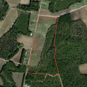 Photo #1 of SOLD property in Off Fair Bluff Highway, Green Sea, SC 43.0 acres