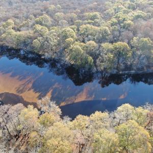 Photo #2 of Off Hwy 41, Marion, SC 133.0 acres