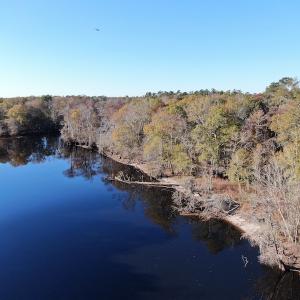 Photo #3 of Off Hwy 41, Marion, SC 133.0 acres