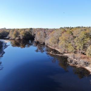 Photo #4 of Off Hwy 41, Marion, SC 133.0 acres