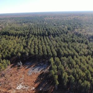 Photo #7 of Off Hwy 41, Marion, SC 133.0 acres