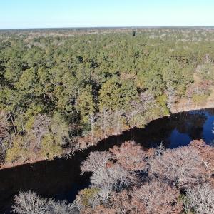 Photo #8 of Off Hwy 41, Marion, SC 133.0 acres