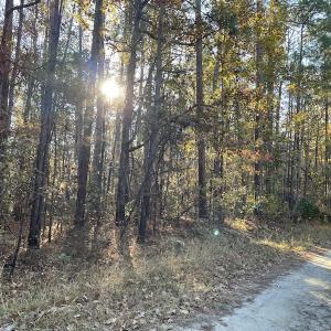 Photo #12 of Off Hwy 41, Marion, SC 133.0 acres