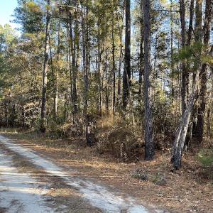 Photo #13 of Off Hwy 41, Marion, SC 133.0 acres