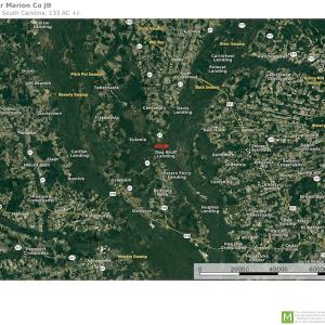 Photo #21 of Off Hwy 41, Marion, SC 133.0 acres
