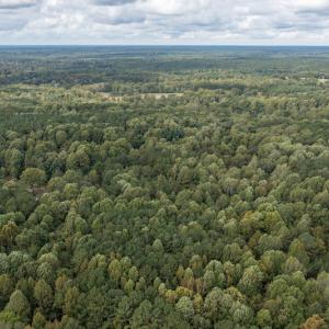 Photo #8 of SOLD property in Off Ingle Drive, Louisburg, NC 2.1 acres