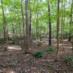 Photo #12 of SOLD property in Off Ingle Drive, Louisburg, NC 2.1 acres