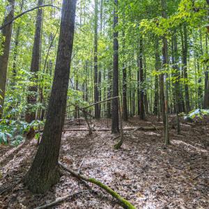 Photo #13 of SOLD property in Off Ingle Drive, Louisburg, NC 2.1 acres