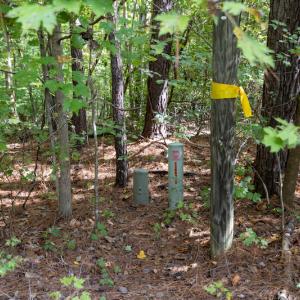 Photo #14 of SOLD property in Off Ingle Drive, Louisburg, NC 2.1 acres