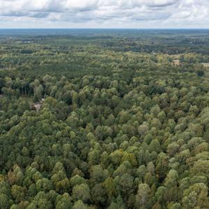 Photo #2 of SOLD property in Off Ingle Drive, Louisburg, NC 2.1 acres