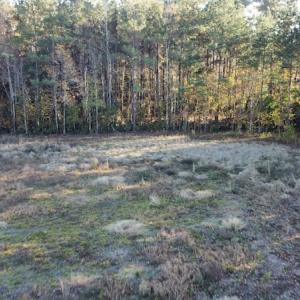Photo #5 of SOLD property in Off Night Owl Lane, Conway, SC 18.6 acres