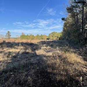 Photo #9 of SOLD property in Off Night Owl Lane, Conway, SC 18.6 acres