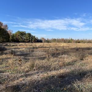 Photo #12 of SOLD property in Off Night Owl Lane, Conway, SC 18.6 acres