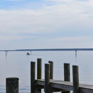 Photo #30 of Off Spinnaker Run, Belhaven, NC 0.0 acres