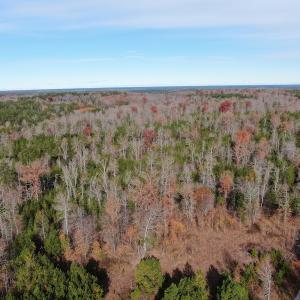 Photo #3 of SOLD property in Off SC 34 - Mount Hope Rd, Ridgeway, SC 42.0 acres