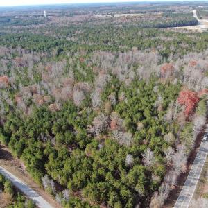 Photo #4 of SOLD property in Off SC 34 - Mount Hope Rd, Ridgeway, SC 42.0 acres