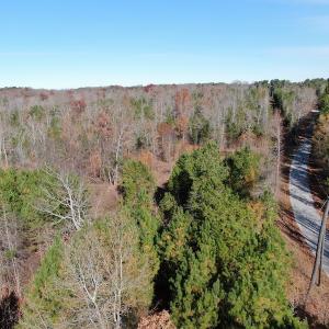 Photo #5 of SOLD property in Off SC 34 - Mount Hope Rd, Ridgeway, SC 42.0 acres
