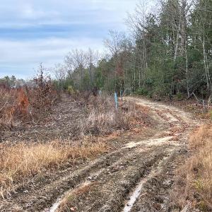 Photo #12 of SOLD property in Off Liberty Hall Road, King and Queen Courthouse, VA 19.3 acres