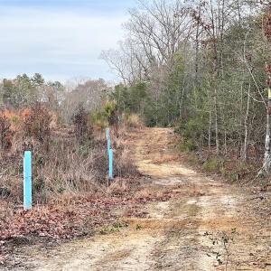 Photo #14 of SOLD property in Off Liberty Hall Road, King and Queen Courthouse, VA 19.3 acres