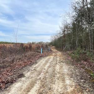 Photo #15 of SOLD property in Off Liberty Hall Road, King and Queen Courthouse, VA 19.3 acres
