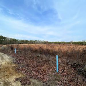 Photo #16 of SOLD property in Off Liberty Hall Road, King and Queen Courthouse, VA 19.3 acres