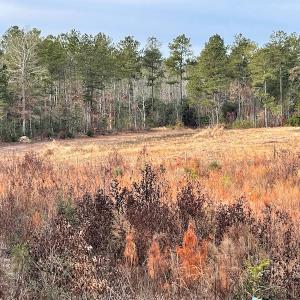 Photo #17 of SOLD property in Off Liberty Hall Road, King and Queen Courthouse, VA 19.3 acres