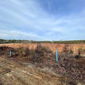 Photo #19 of SOLD property in Off Liberty Hall Road, King and Queen Courthouse, VA 19.3 acres