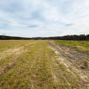 Photo #2 of SOLD property in Off Liberty Hall Road, King and Queen Courthouse, VA 19.3 acres