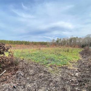 Photo #20 of SOLD property in Off Liberty Hall Road, King and Queen Courthouse, VA 19.3 acres