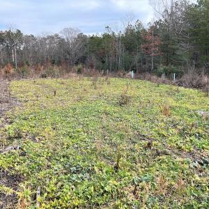 Photo #21 of SOLD property in Off Liberty Hall Road, King and Queen Courthouse, VA 19.3 acres