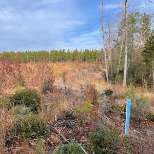 Photo #22 of SOLD property in Off Liberty Hall Road, King and Queen Courthouse, VA 19.3 acres