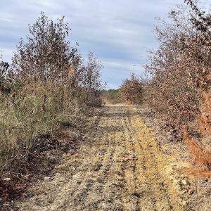 Photo #24 of SOLD property in Off Liberty Hall Road, King and Queen Courthouse, VA 19.3 acres