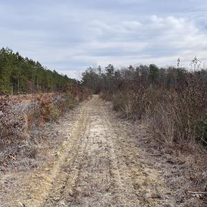 Photo #26 of SOLD property in Off Liberty Hall Road, King and Queen Courthouse, VA 19.3 acres