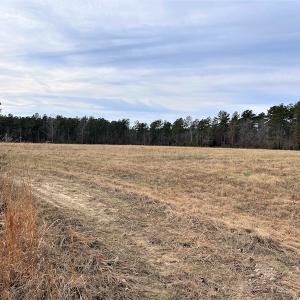 Photo #27 of SOLD property in Off Liberty Hall Road, King and Queen Courthouse, VA 19.3 acres