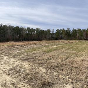 Photo #29 of SOLD property in Off Liberty Hall Road, King and Queen Courthouse, VA 19.3 acres