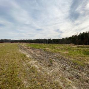 Photo #3 of SOLD property in Off Liberty Hall Road, King and Queen Courthouse, VA 19.3 acres