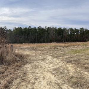 Photo #30 of SOLD property in Off Liberty Hall Road, King and Queen Courthouse, VA 19.3 acres