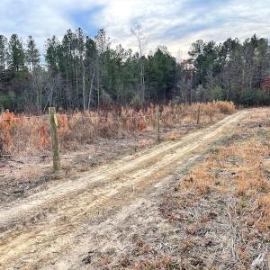 Photo #31 of SOLD property in Off Liberty Hall Road, King and Queen Courthouse, VA 19.3 acres