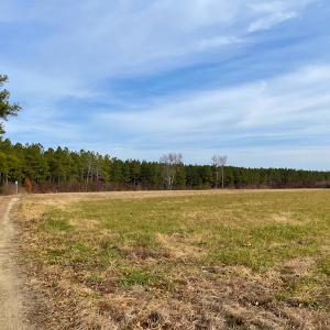 Photo #32 of SOLD property in Off Liberty Hall Road, King and Queen Courthouse, VA 19.3 acres
