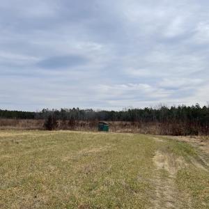 Photo #33 of SOLD property in Off Liberty Hall Road, King and Queen Courthouse, VA 19.3 acres