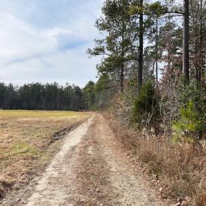 Photo #4 of SOLD property in Off Liberty Hall Road, King and Queen Courthouse, VA 19.3 acres
